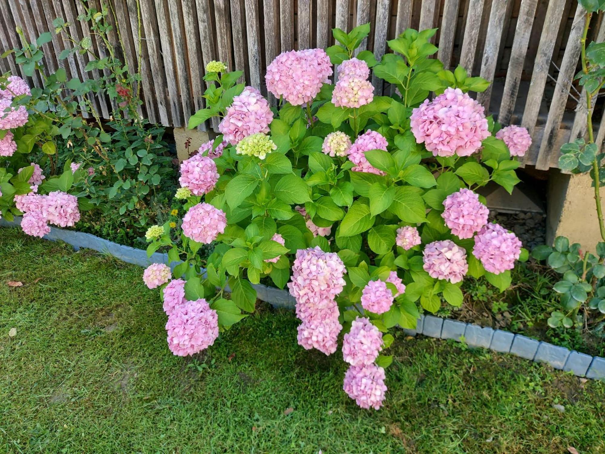Kuca Za Odmor Mazuran Villa Karlovac Exteriör bild