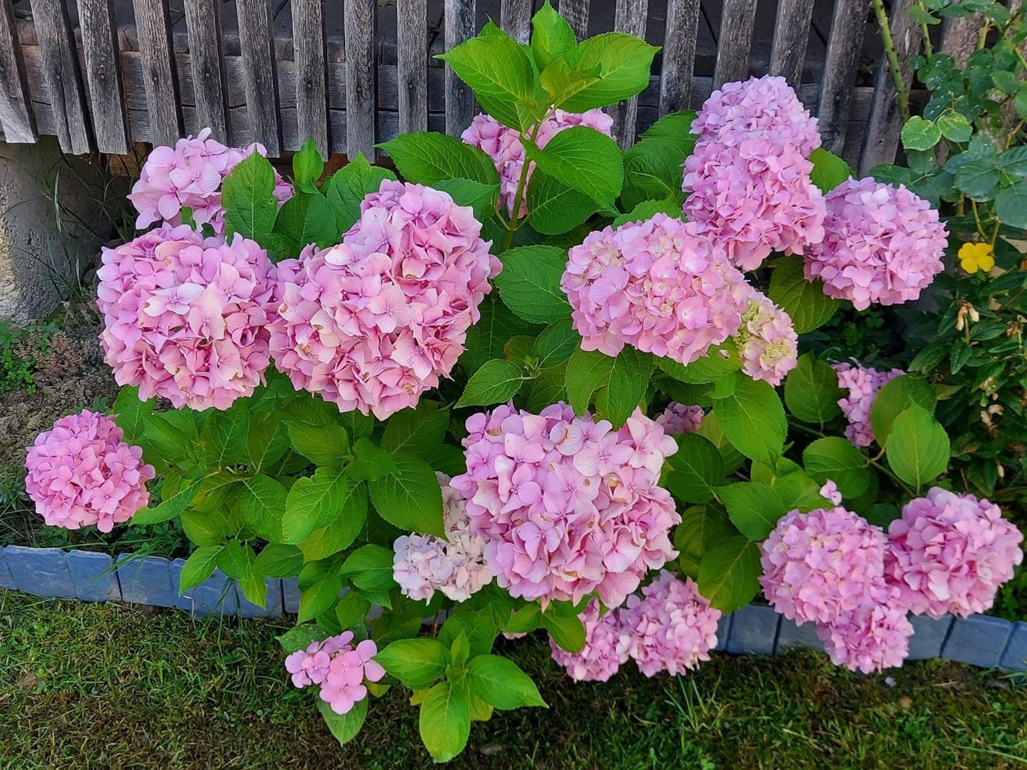 Kuca Za Odmor Mazuran Villa Karlovac Exteriör bild