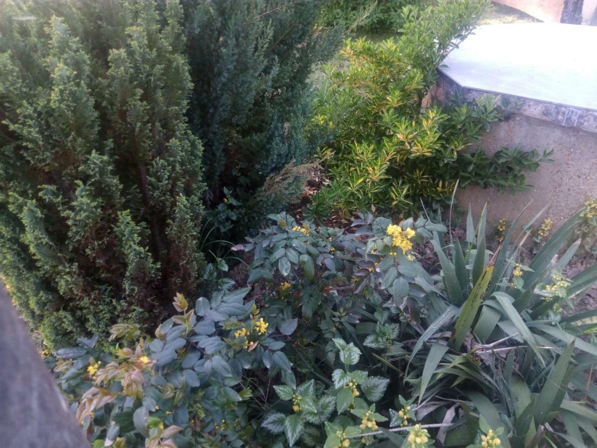 Kuca Za Odmor Mazuran Villa Karlovac Exteriör bild