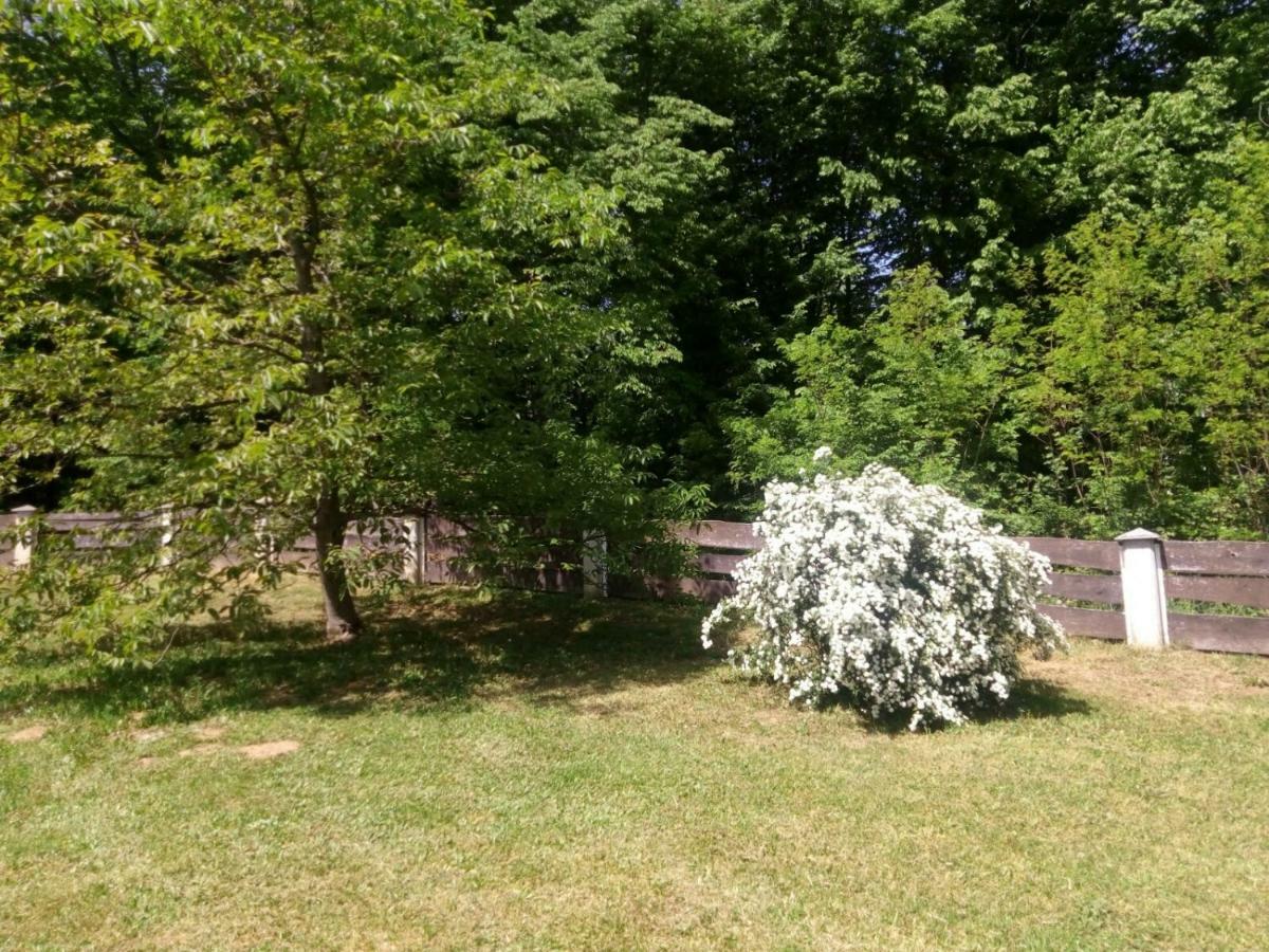 Kuca Za Odmor Mazuran Villa Karlovac Exteriör bild